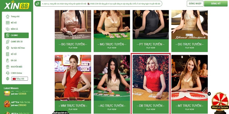 DB Live Casino thu hút lượt truy cập lớn